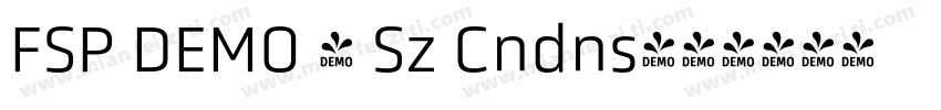 FSP DEMO - Sz Cndns字体转换